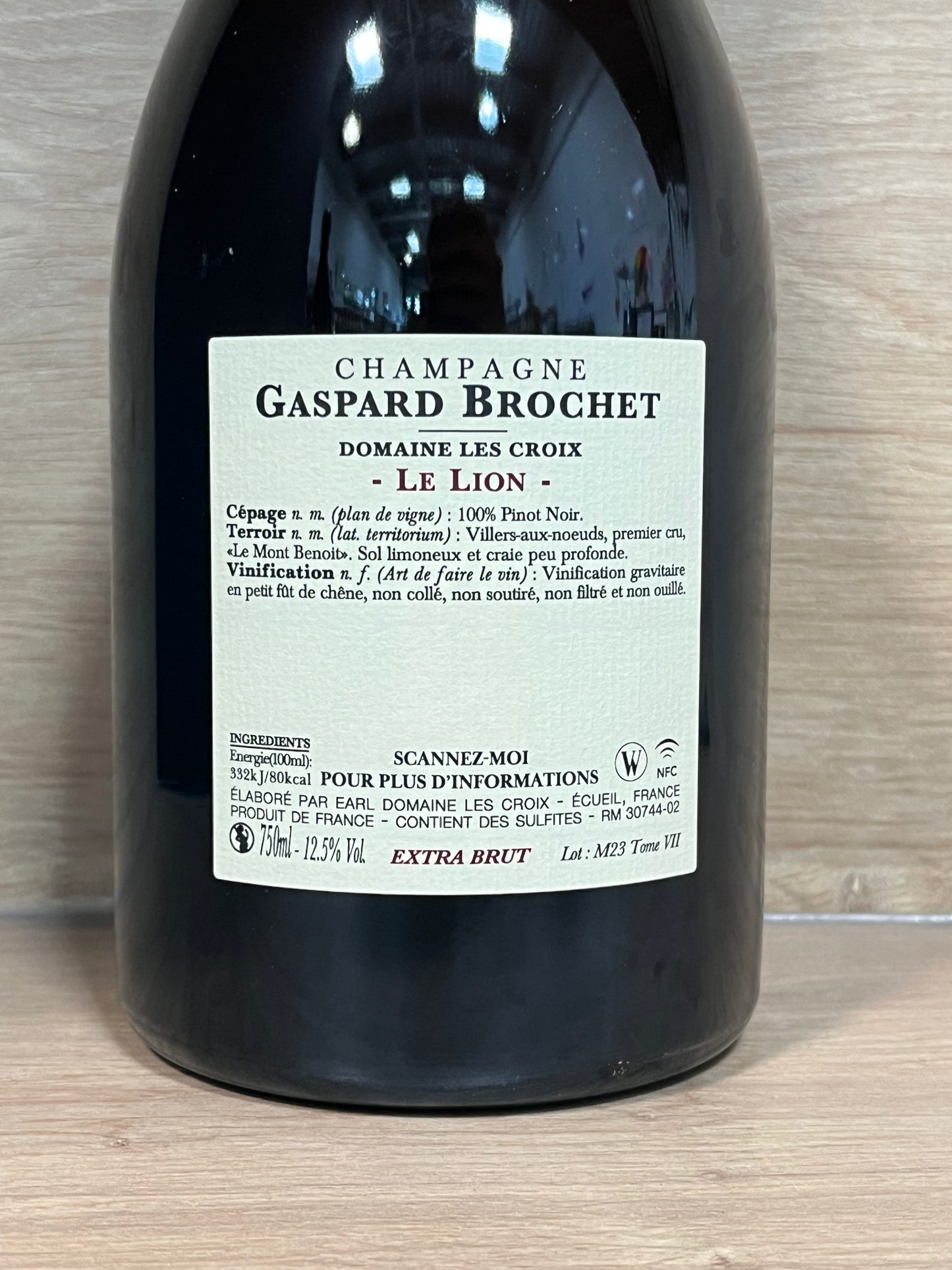 Gaspard Brochet - Le Lion