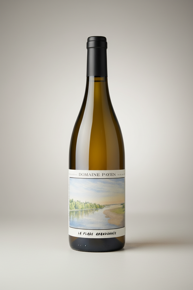 Recommandation Vin : Wine recommendation of the month