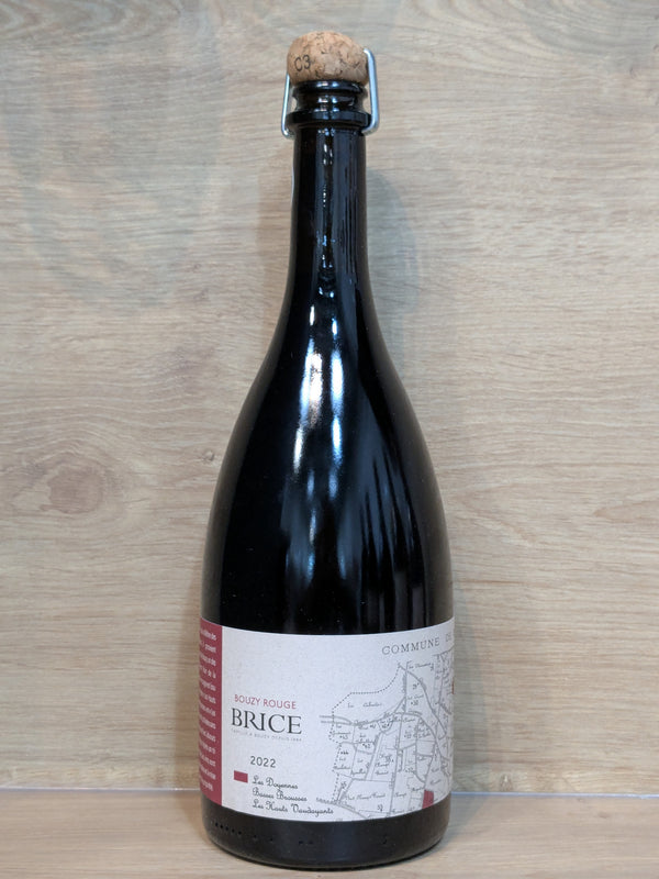 Brice - Coteaux Champenois 2022 - Champagne CPHWINES