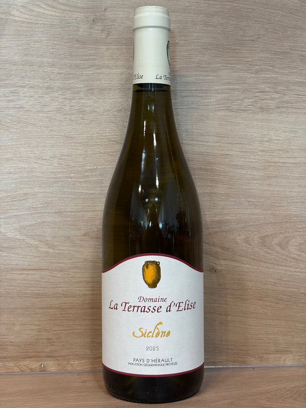 Terrasse d’Élise - Siclène 2025 - Champagne CPHWINES