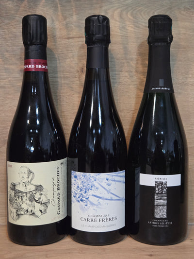 Pack: Le versant nord