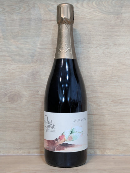 Paul Gosset - Au Fil des Temps - Le Printemps - CPHWINES