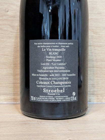 Timothée Stroebel - Coteaux Champenois 2020 - Pinot Meunier - CPHWINES