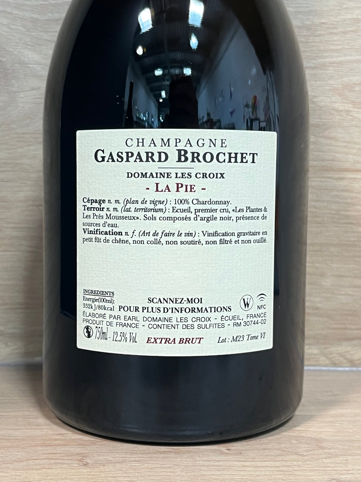 Gaspard Brochet - La Pie