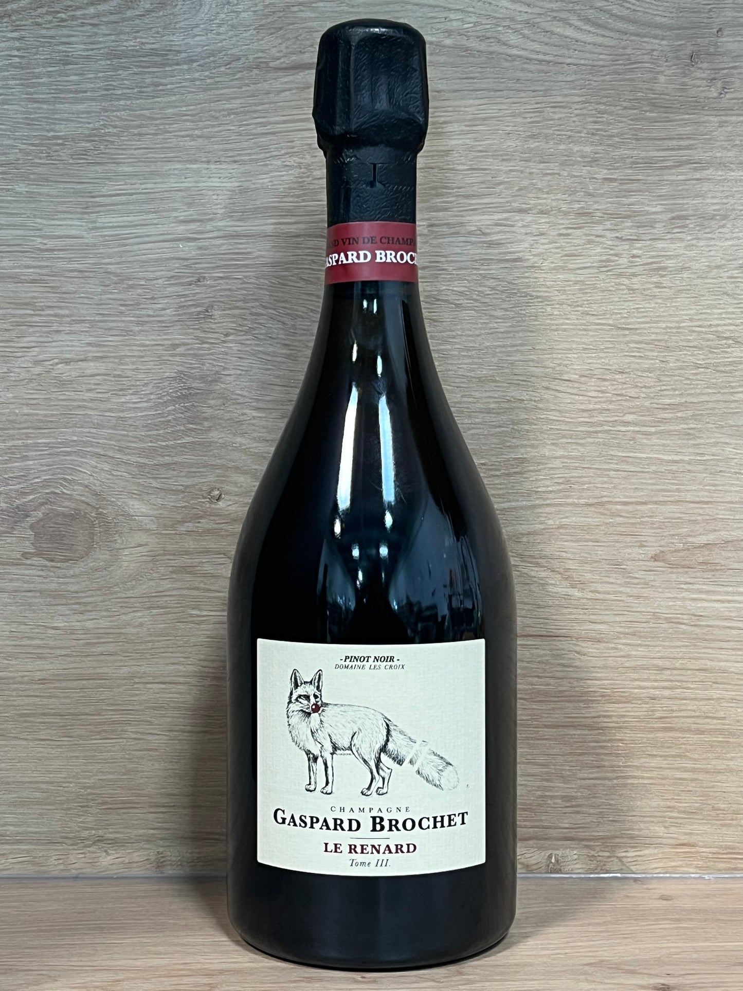 Gaspard Brochet - Le Renard