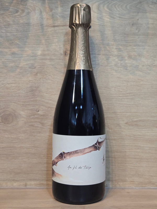 Paul Gosset - Hiver - Au Fil des Temps - CPHWINES